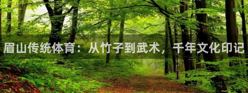 眉山传统体育：从竹子到武术，千年文化印记
