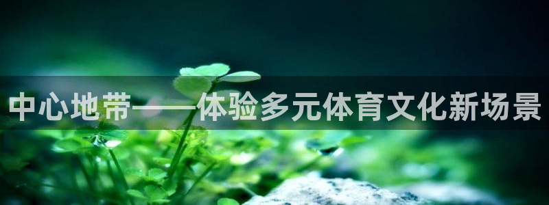 中心地带——体验多元体育文化新场景