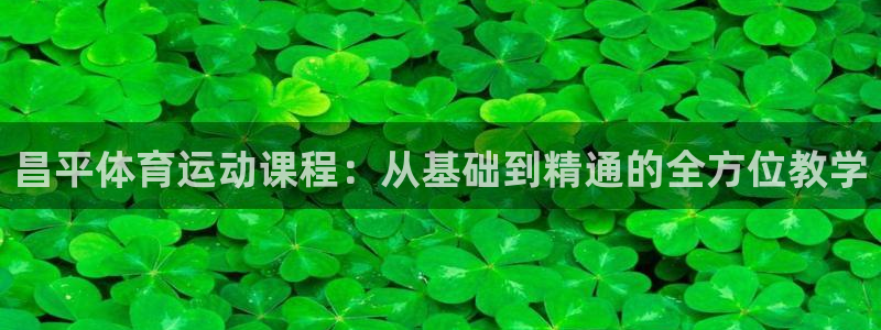 昌平体育运动课程：从基础到精通的全方位教学