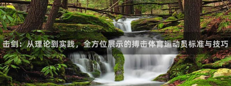 击剑：从理论到实践，全方位展示的搏击体育运动员标准与技巧
