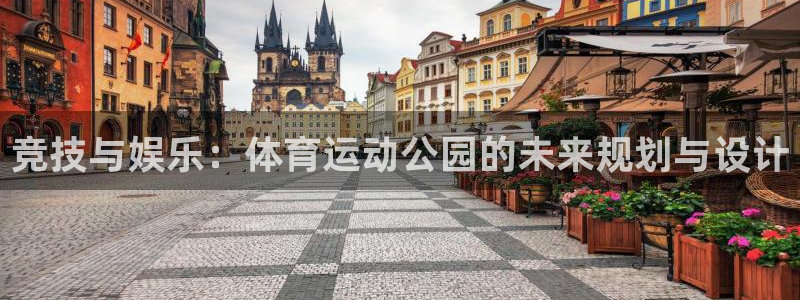 竞技与娱乐：体育运动公园的未来规划与设计