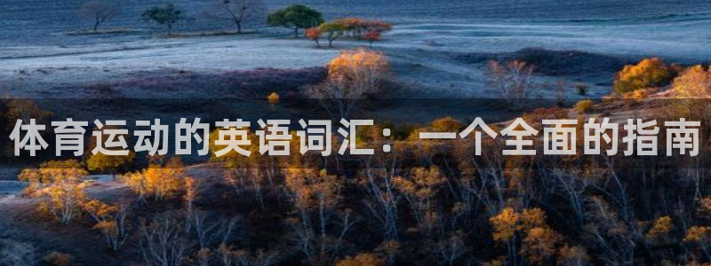 体育运动的英语词汇：一个全面的指南