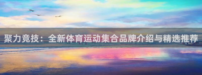 聚力竞技：全新体育运动集合品牌介绍与精选推荐