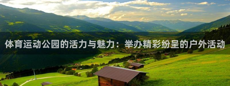 体育运动公园的活力与魅力：举办精彩纷呈的户外活动