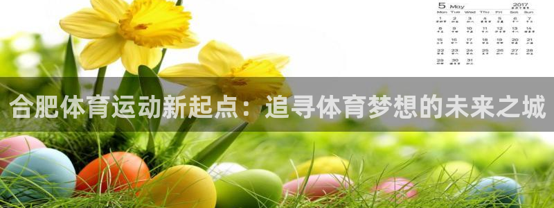 合肥体育运动新起点：追寻体育梦想的未来之城