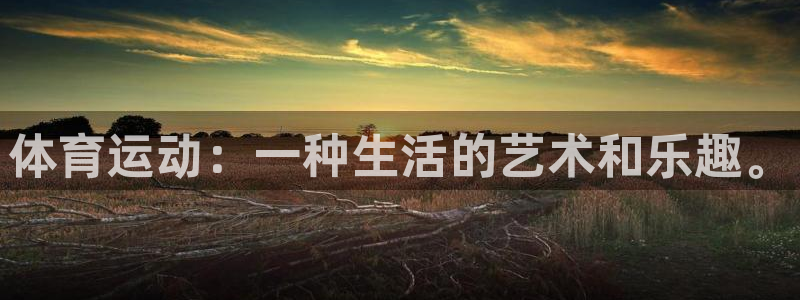 体育运动：一种生活的艺术和乐趣。