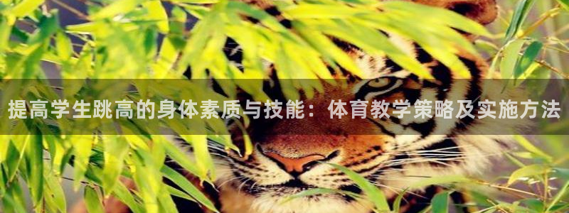 提高学生跳高的身体素质与技能：体育教学策略及实施方法